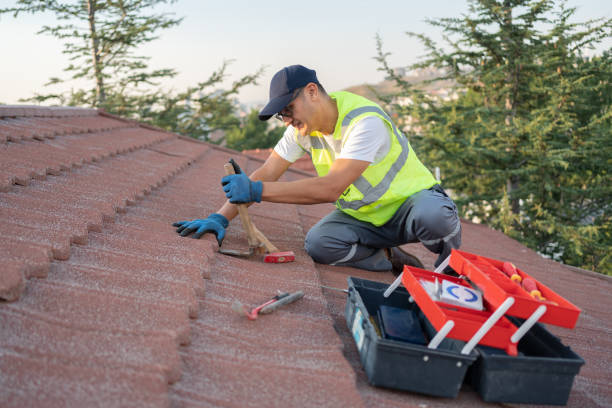 Roof Gutter Cleaning in Lynn, IN